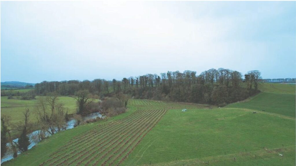 Establishing a New Forest Starting very small with the Native Tree Area scheme